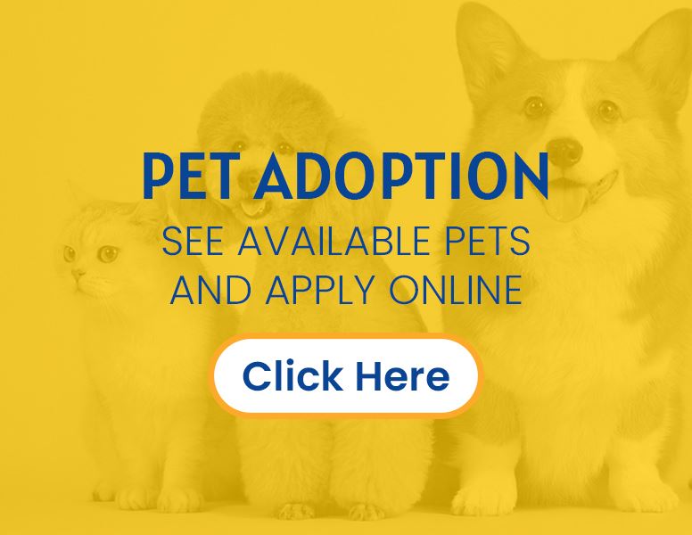 Click here for pet adoption link